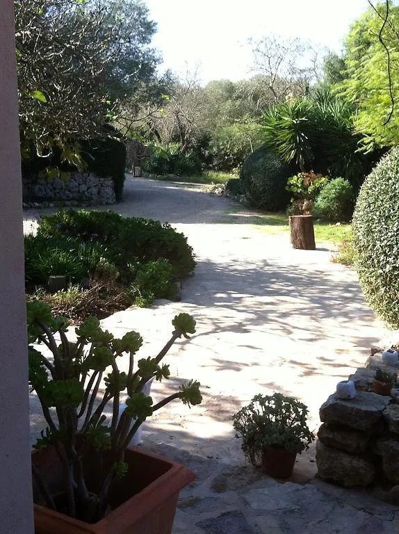 Can Willi Villa Ariany Spain