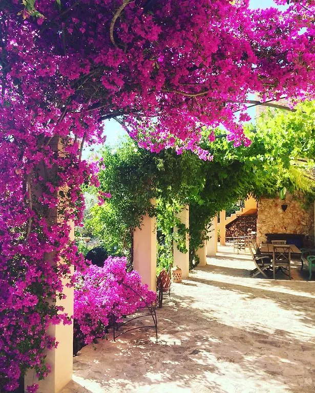 Holiday home Can Willi Villa Ariany Spain