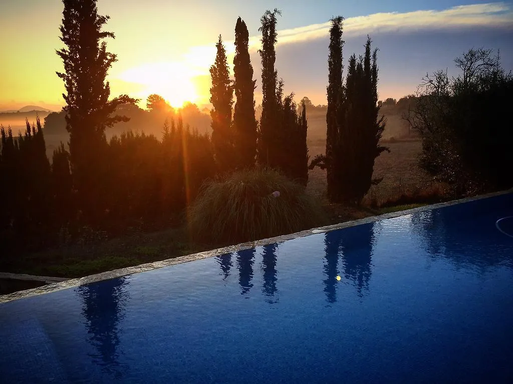 Holiday home Can Willi Villa Ariany