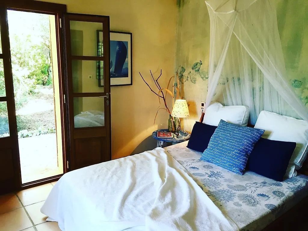 Can Willi Villa Ariany Holiday home