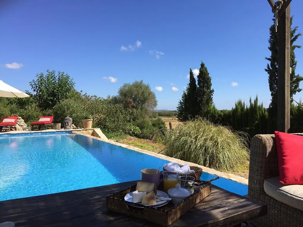 Can Willi Villa Ariany Holiday home