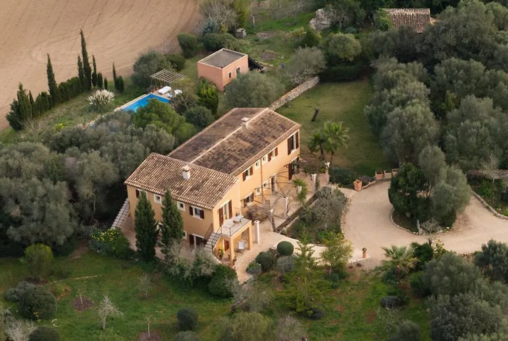 Can Willi Villa Ariany 0*,  Spain