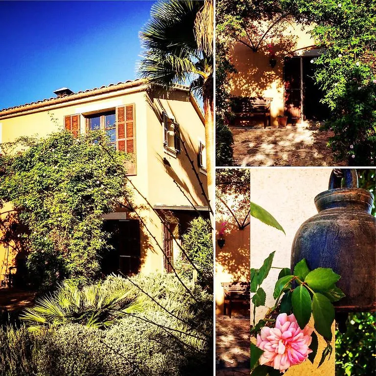 Can Willi Villa Ariany Holiday home